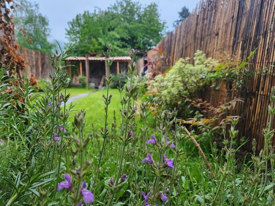 Marmoza - Maison Plein Coeur De Village Saint-Geniez-dʼOlt Dış mekan fotoğraf
